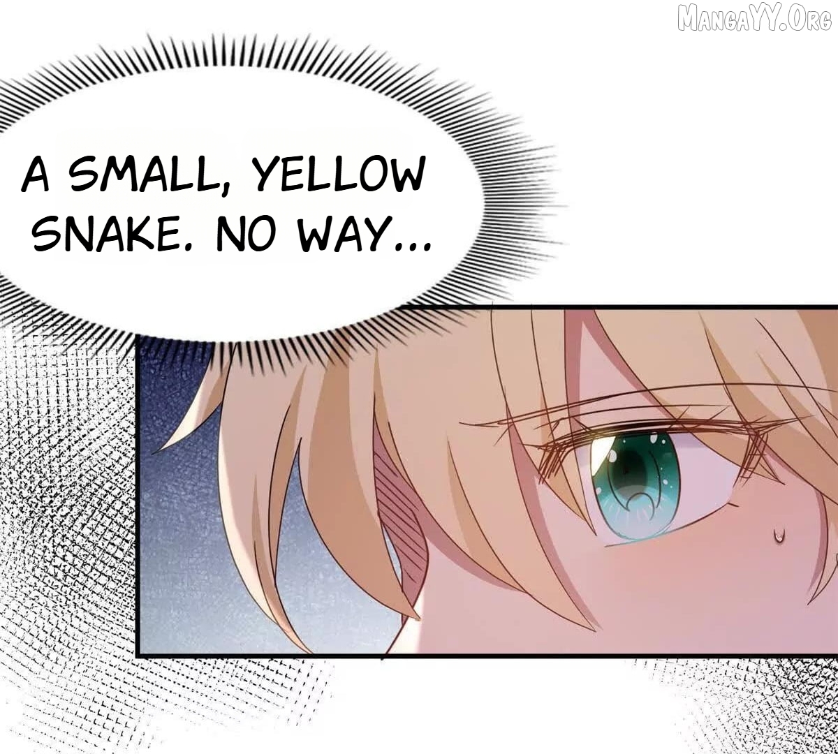 Don't Embarrass Me Chapter 167 - page 50